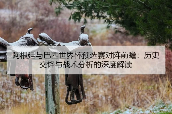 阿根廷与巴西世界杯预选赛对阵前瞻：历史交锋与战术分析的深度解读